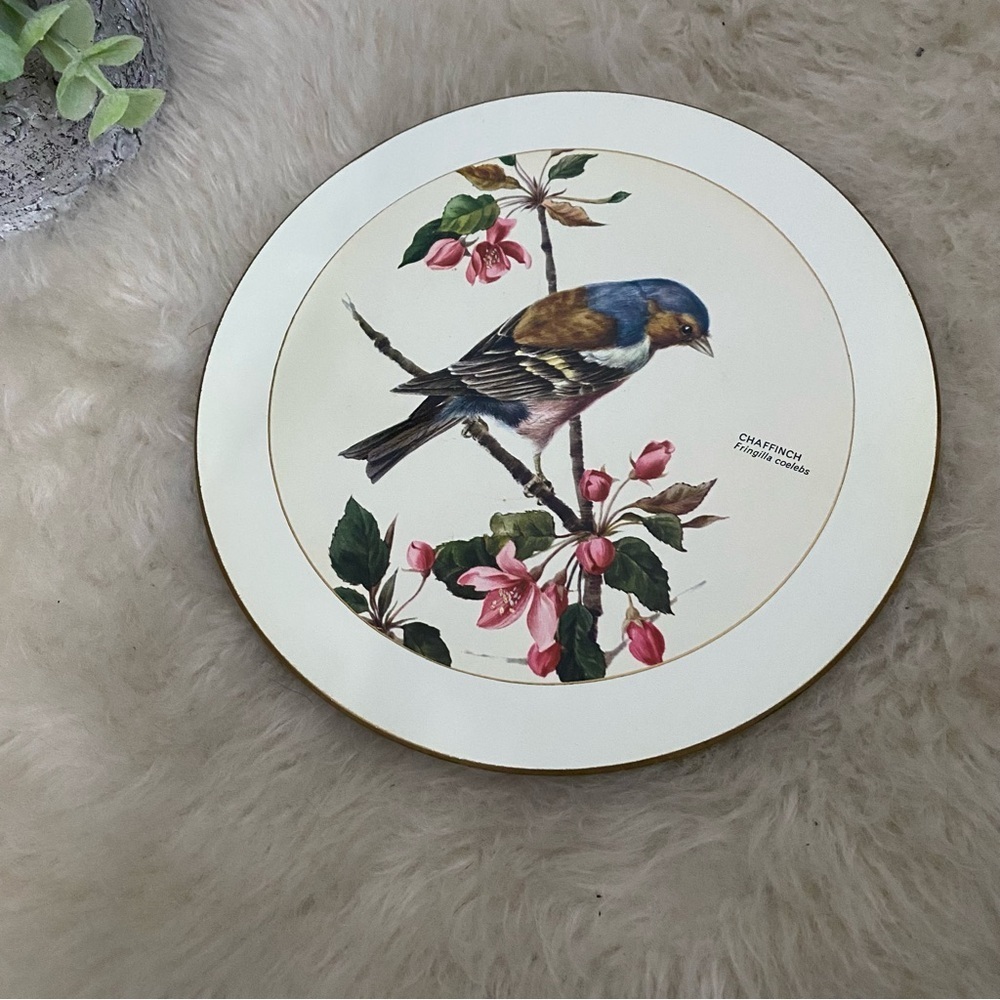 Vintage Bird Cork Back Round Table Trivet Placemat